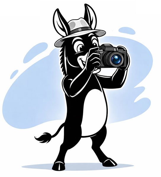 SMAO cartoon donkey taking a shot with one of 2026's best budget cameras.